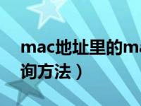 mac地址里的mac是怎么来的（mac地址查询方法）