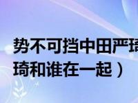 势不可挡中田严琦是什么结局（势不可挡田严琦和谁在一起）