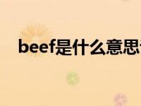 beef是什么意思说唱（beef是什么意思）