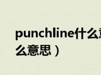 punchline什么意思中文（punch line是什么意思）