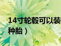 14寸轮毂可以装什么胎（14寸轮毂可以装几种胎）