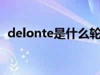 delonte是什么轮胎（finalist是什么轮胎）