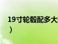 19寸轮毂配多大轮胎（19寸轮毂配多大轮胎）