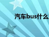 汽车bus什么意思（bus是什么车）