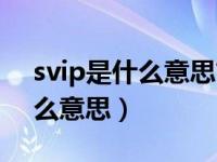 svip是什么意思简单说（你是我的svip是什么意思）