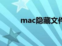 mac隐藏文件（隐藏文件怎么看）