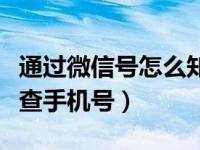 通过微信号怎么知道手机号码（怎样通过微信查手机号）