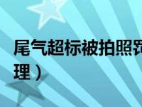 尾气超标被拍照罚款吗（尾气超标被拍怎么处理）