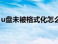 u盘未被格式化怎么打不开（u盘未被格式化）