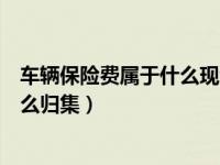 车辆保险费属于什么现金流量项目（车辆保险费现金流量怎么归集）