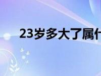 23岁多大了属什么的（23岁是多大了）