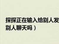 探探正在输入给别人发也会显示吗（探探对方正在输入是和别人聊天吗）