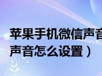 苹果手机微信声音怎么设置的（苹果手机微信声音怎么设置）