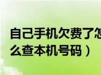 自己手机欠费了怎么看手机号（手机欠费了怎么查本机号码）