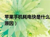 苹果手机耗电快是什么原因引起的（苹果手机耗电快是什么原因）