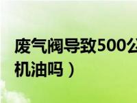 废气阀导致500公里烧机油（废气阀坏了会烧机油吗）