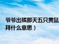 爷爷出殡那天五只黄鼠狼三叩九拜（黄鼠狼对着棺材三叩九拜什么意思）