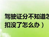 驾驶证分不知道怎么被扣了怎么查（驾驶证分扣没了怎么办）