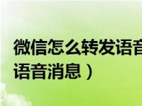 微信怎么转发语音消息给好友（微信怎么转发语音消息）