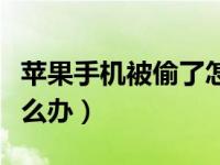 苹果手机被偷了怎样定位（苹果手机被偷了怎么办）