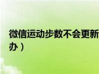 微信运动步数不会更新怎么回事（微信运动步数不更新怎么办）