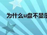 为什么u盘不显示了（为什么u盘不显示）
