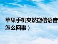 苹果手机突然微信语音听不到声音（苹果手机突然没声音了怎么回事）