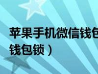 苹果手机微信钱包锁怎么设置（怎么设置微信钱包锁）