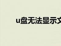 u盘无法显示文件夹（u盘无法显示）