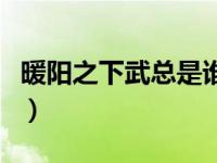 暖阳之下武总是谁演的（暖阳之下武总扮演者）