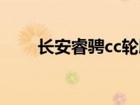 长安睿骋cc轮胎（cc轮胎型号规格）