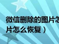 微信删除的图片怎么恢复正常（微信删除的图片怎么恢复）