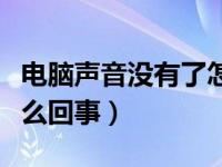 电脑声音没有了怎么恢复（电脑没有声音是怎么回事）