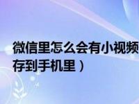 微信里怎么会有小视频保存到手机（微信里的小视频怎么保存到手机里）