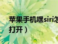 苹果手机嘿siri怎么打开（苹果的siri在哪里打开）