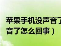 苹果手机没声音了怎么回事儿（苹果手机没声音了怎么回事）