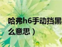 哈弗h6手动挡黑标怎么样（哈佛h6黑标是什么意思）