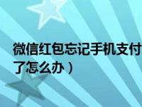 微信红包忘记手机支付密码怎么办（微信红包支付密码忘记了怎么办）