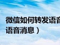 微信如何转发语音消息给别人（微信如何转发语音消息）