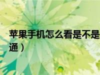 苹果手机怎么看是不是全网通（苹果手机怎么看是不是全网通）