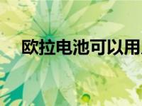 欧拉电池可以用几年（欧拉电池用几年）