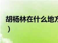 胡杨林在什么地方最漂亮（胡杨林在什么地方）