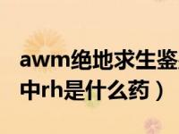 awm绝地求生鉴别方法图解（awm绝地求生中rh是什么药）