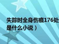 失踪时全身伤痕176处是什么小说（失踪时全身伤痕176处是什么小说）