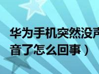 华为手机突然没声音了怎么办（手机突然没声音了怎么回事）