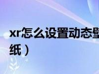 xr怎么设置动态壁纸不动（xr怎么设置动态壁纸）