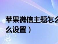 苹果微信主题怎么设置教程（苹果微信主题怎么设置）