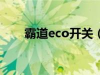 霸道eco开关（霸道eco开关在哪里）