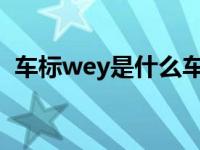 车标wey是什么车（w丫e是什么汽车牌子）