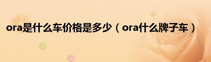 Ora是什么车价格是多少 Ora什么牌子车 环球阳光网